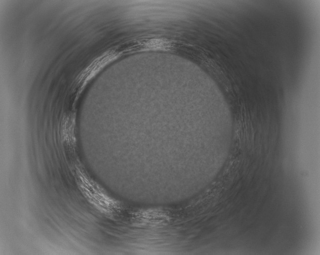 X0000086050146200703231316