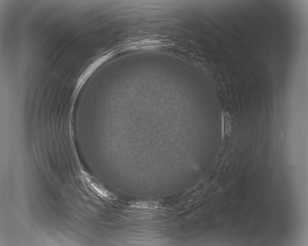 X0000086050147200703231316