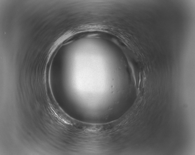 X0000086050148200703231316