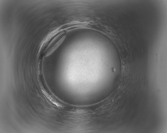 X0000086050149200703231316