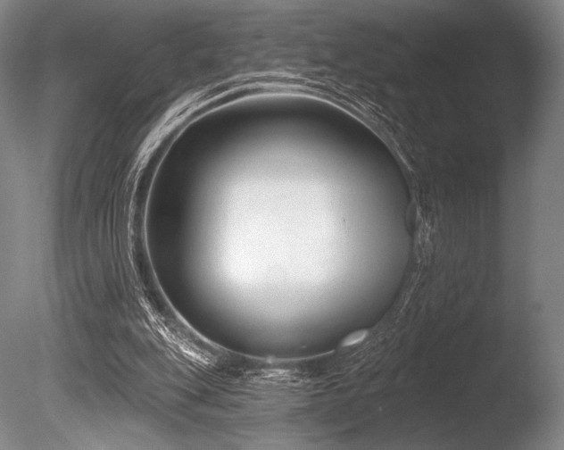 X0000086050151200703231316
