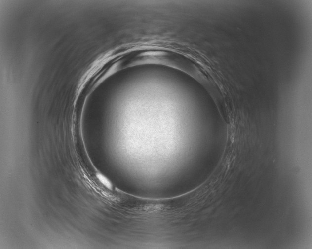 X0000086050152200703231316