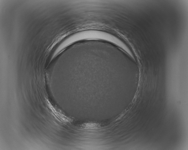 X0000086050154200703231316