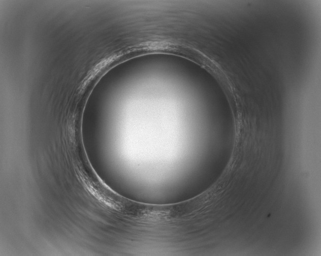 X0000086050155200703231316