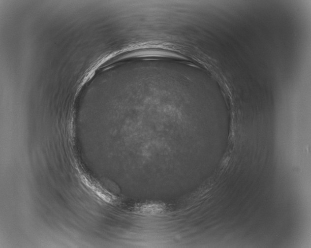 X0000086050156200703231316