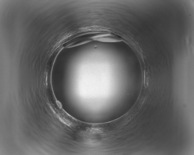 X0000086050157200703231316