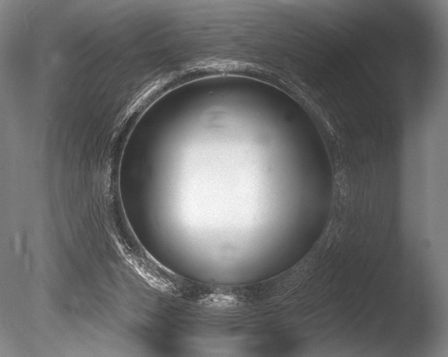 X0000086050159200703231316