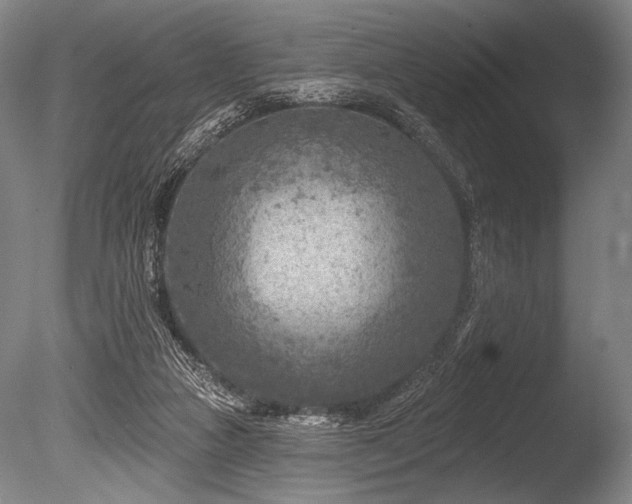 X0000086050161200703231316
