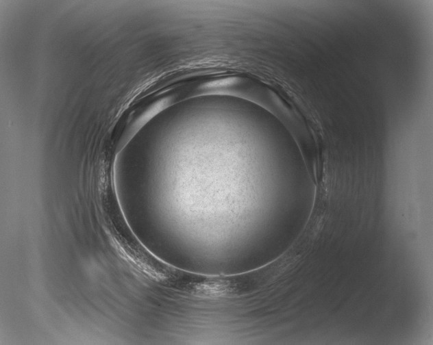 X0000086050164200703231316