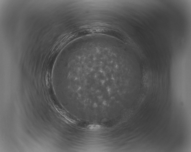 X0000086050169200703231316