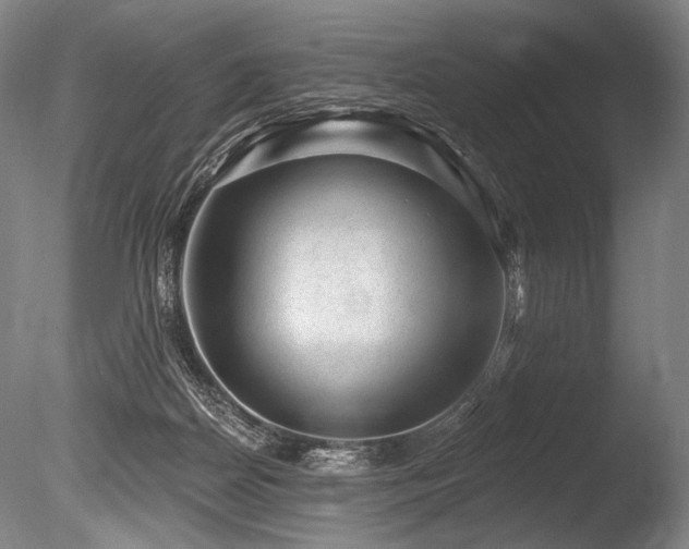 X0000086050170200703231316