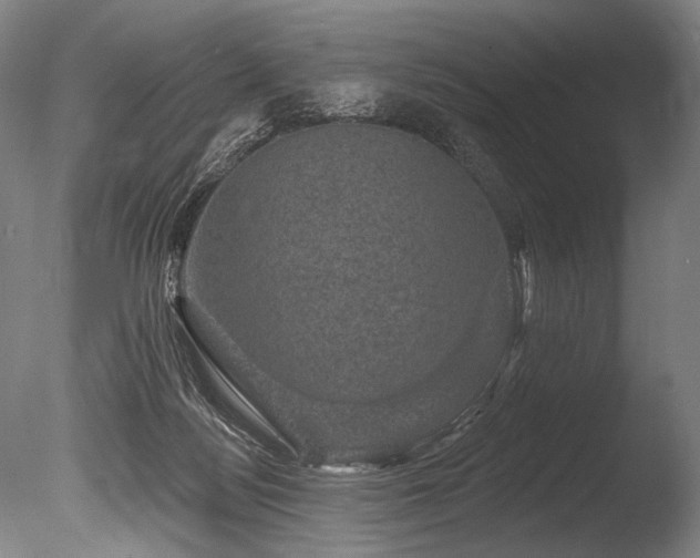 X0000086050172200703231316