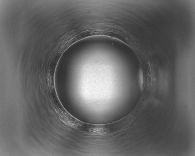 X0000086050173200703231316