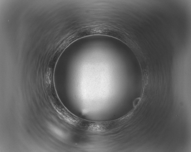 X0000086050174200703231316