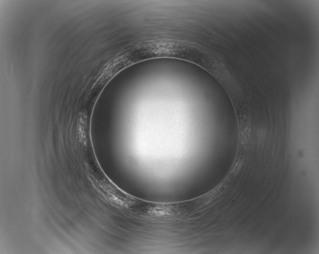 X0000086050175200703231316