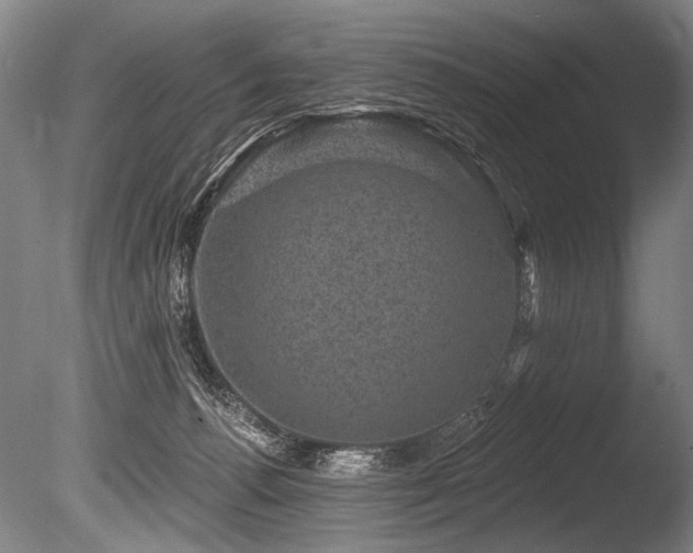 X0000086050176200703231316