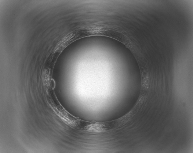 X0000086050179200703231317