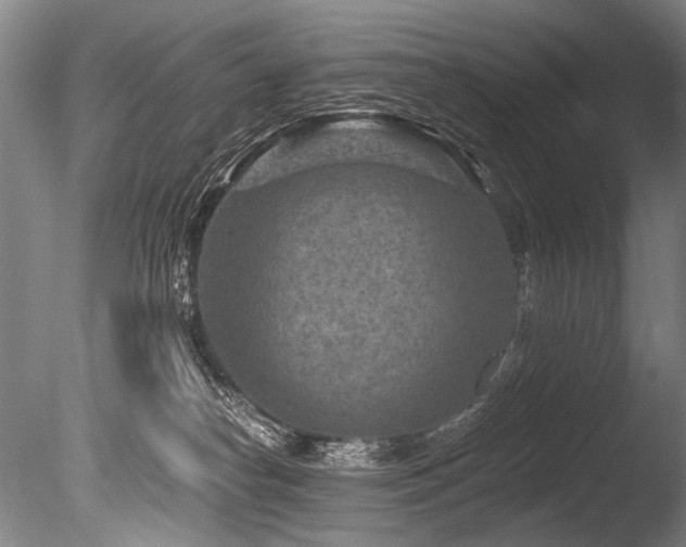 X0000086050182200703231317