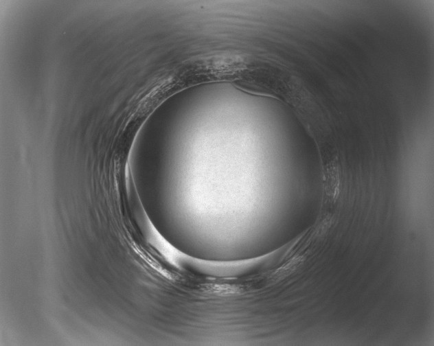 X0000086050184200703231317