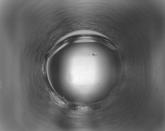 X0000086050185200703231317