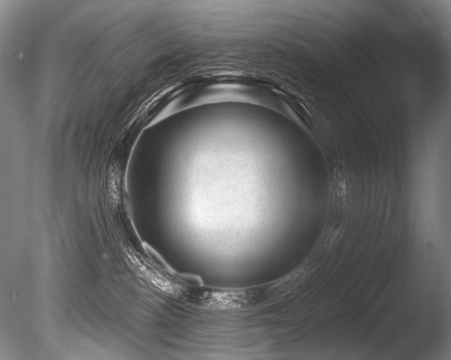 X0000086050188200703231317