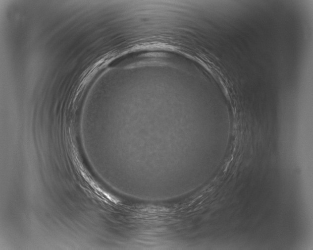 X0000086050193200703231316