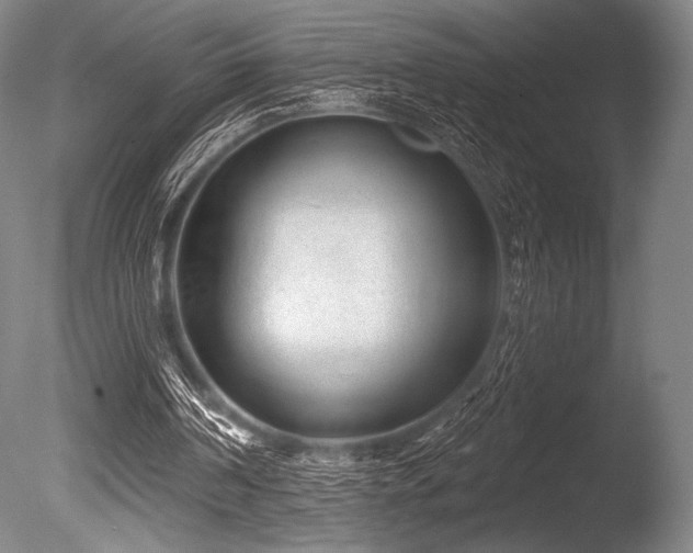 X0000086050194200703231316