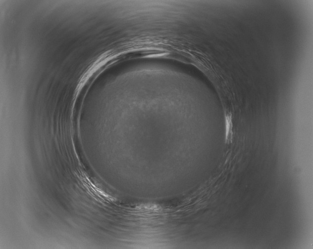 X0000086050195200703231316