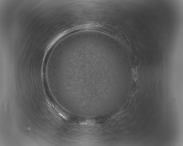 X0000086050196200703231316