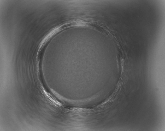 X0000086050197200703231316