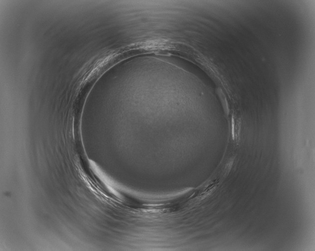 X0000086050205200703231316