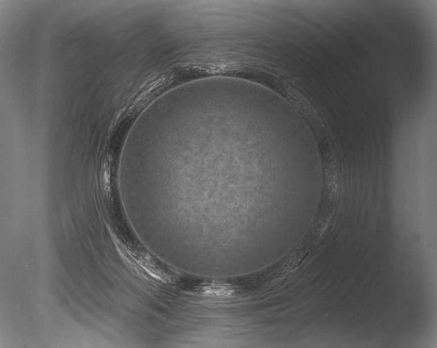 X0000086050214200703231316