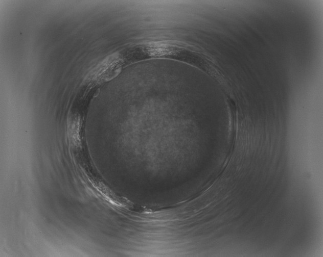 X0000086050219200703231315