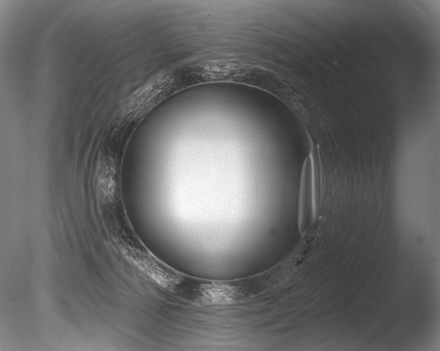 X0000086050226200703231315