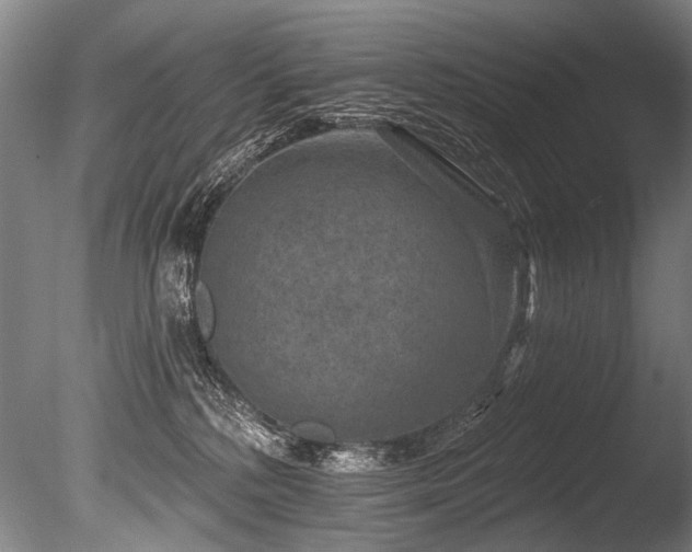 X0000086050232200703231315
