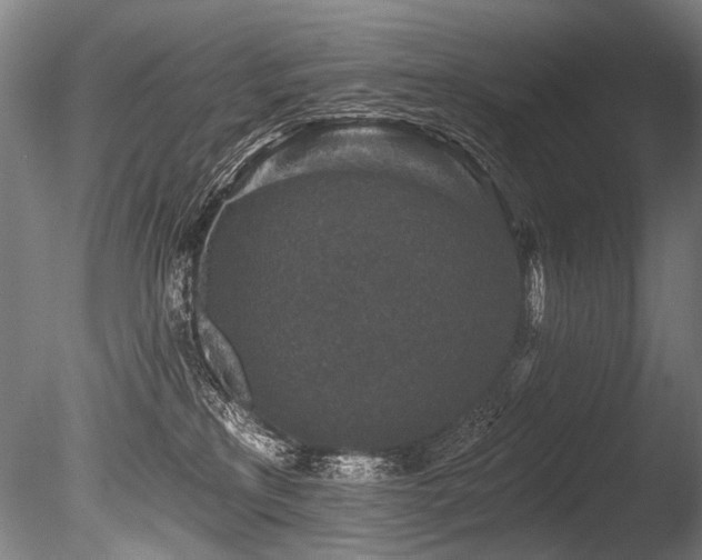 X0000086050233200703231315