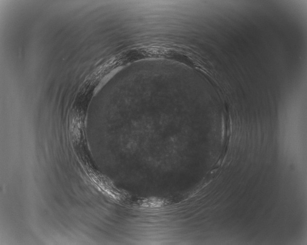 X0000086050235200703231315