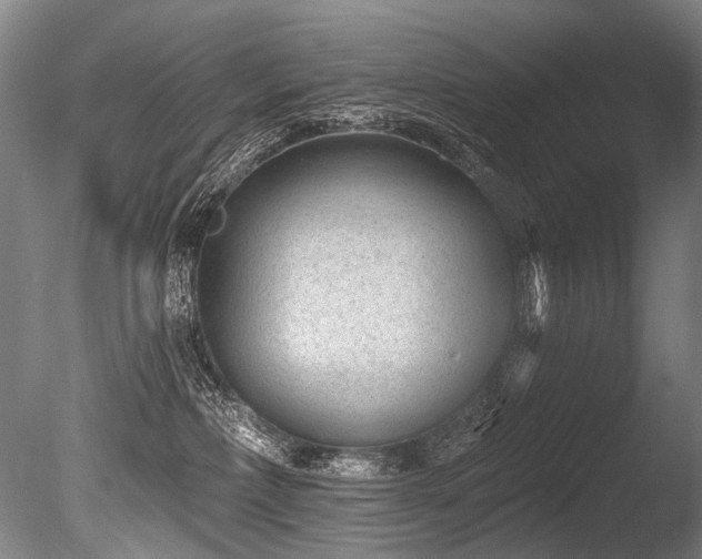 X0000086050236200703231315