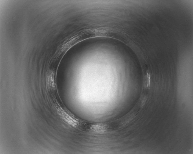 X0000086050238200703231315