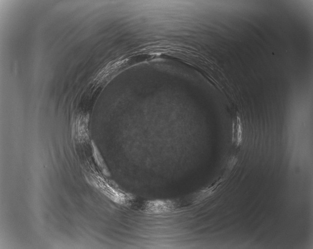 X0000086050239200703231315