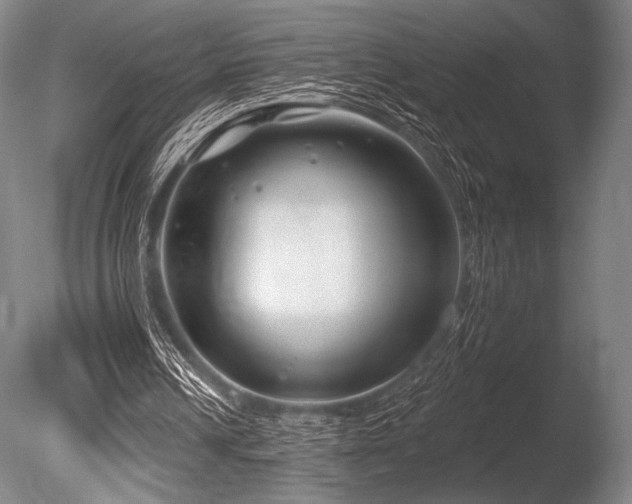 X0000086050242200703231314