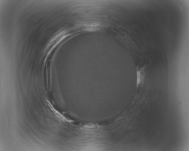 X0000086050243200703231314