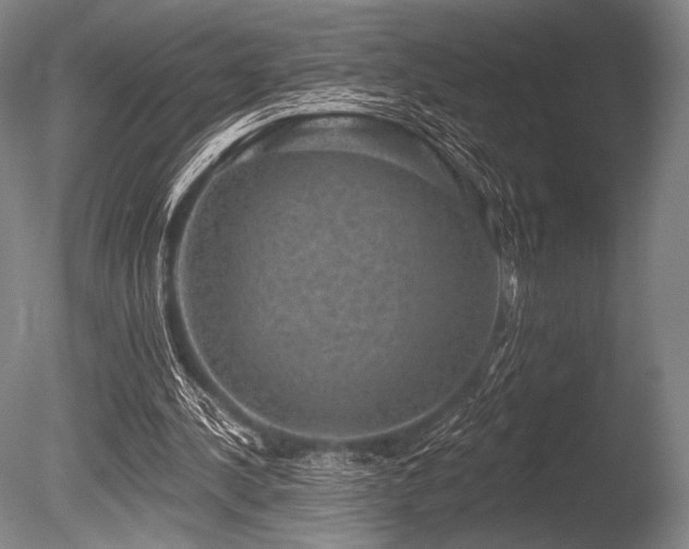 X0000086050244200703231314
