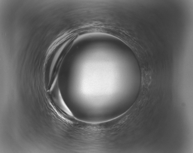 X0000086050245200703231314