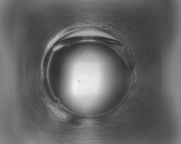 X0000086050246200703231314