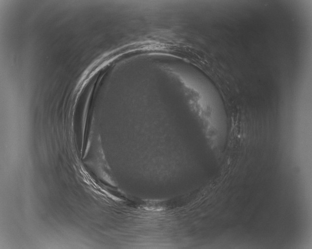 X0000086050247200703231314
