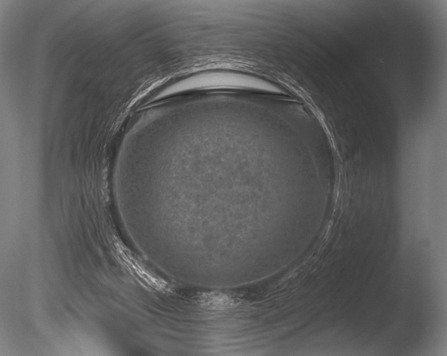 X0000086050249200703231314