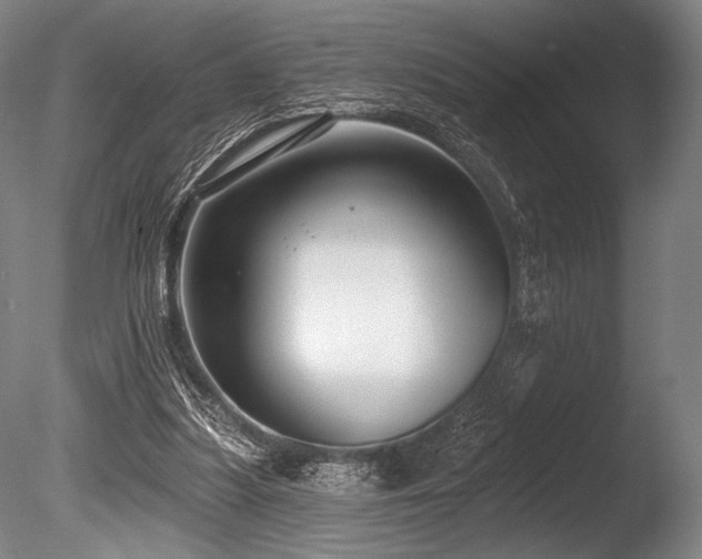 X0000086050251200703231314