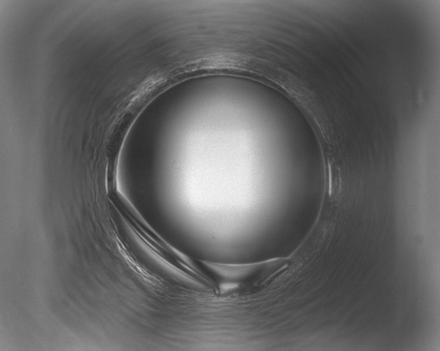 X0000086050253200703231314