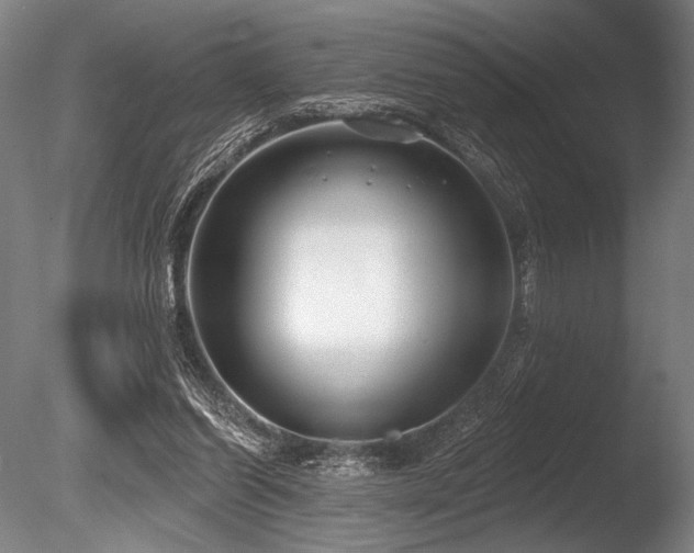 X0000086050254200703231315